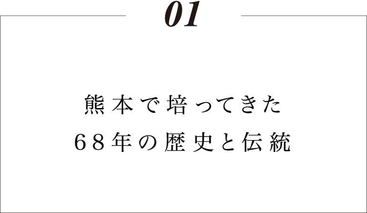 熊本・菊池で土木を通し培ってきた68年の歴史と伝統